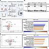 S2808D-RyR2–mediated calcium leak alters proteins in synaptosomes.