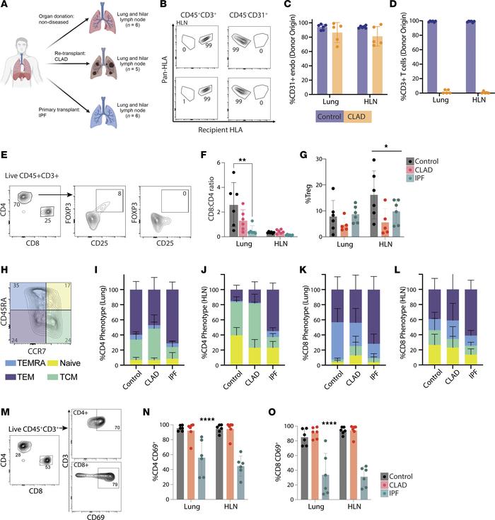 Lung and HLN memory T cell subsets from patients with CLAD, IPF, and wit...