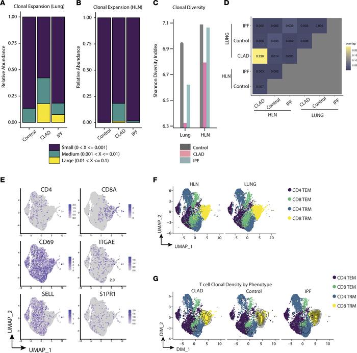 T cells from CLAD lungs and HLNs demonstrate increased clonal expansion ...