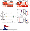 Th17 cells in EAU mice exhibited a higher abundance of fatty acids.