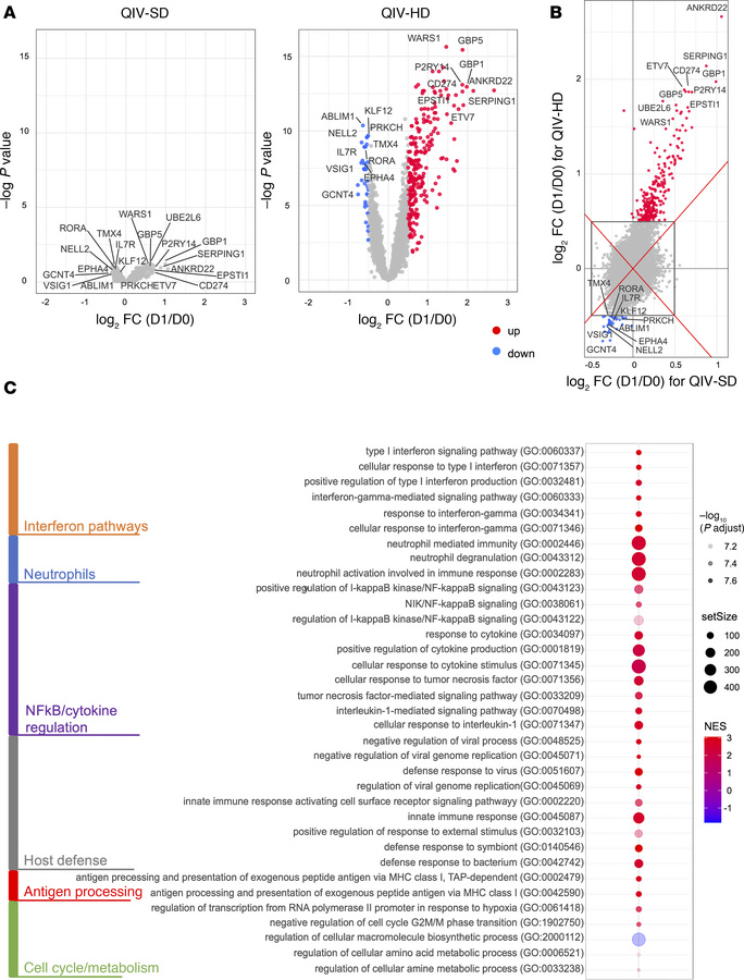Differential expression genes by transcriptomic analysis at D1 after vac...