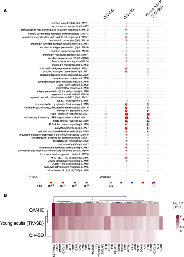 Significant up- and downregulated gene associated with early innate resp...
