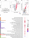Differential expression genes by transcriptomic analysis at D1 after vaccin
