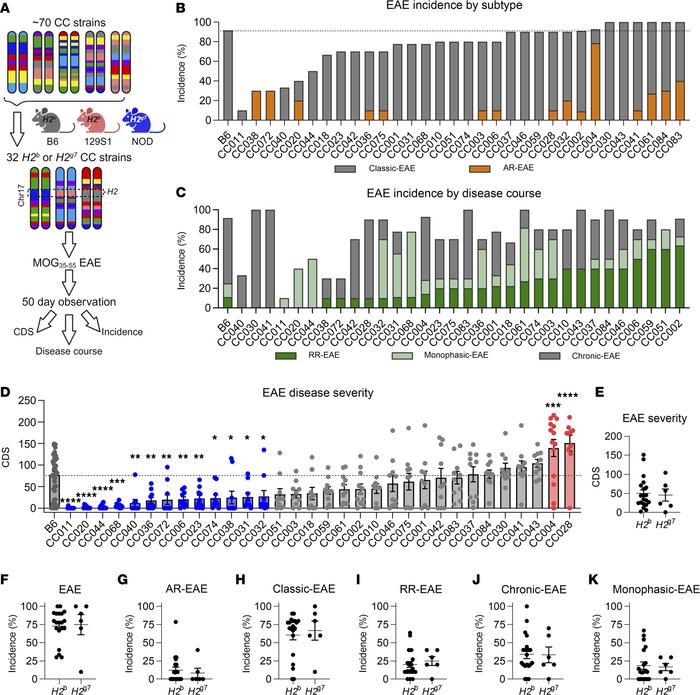 MOG35–55 induced EAE in CC strains results in heterogeneous disease prof...