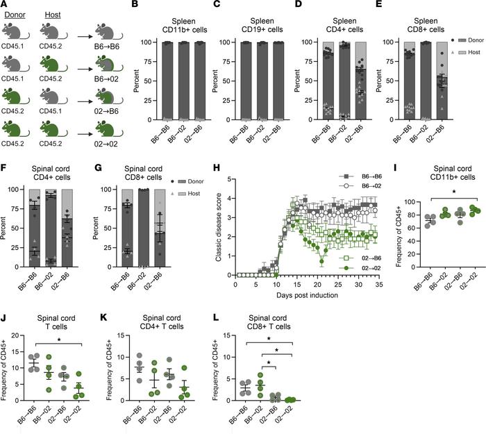 Peripheral immune and CNS intrinsic factors drive RR-EAE in CC002 mice.
...