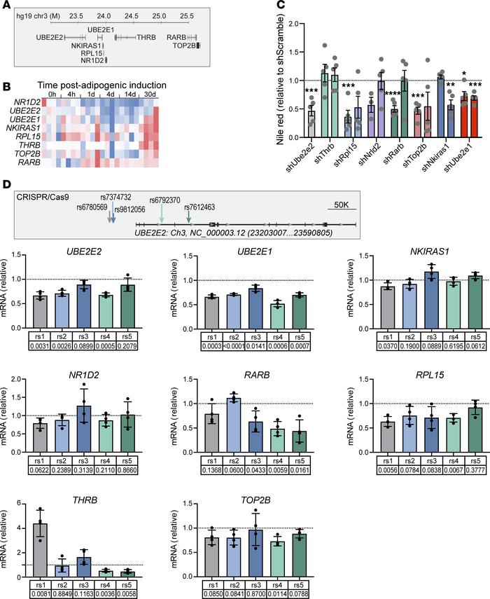 Identification of multiple candidate causal genes in the topological nei...