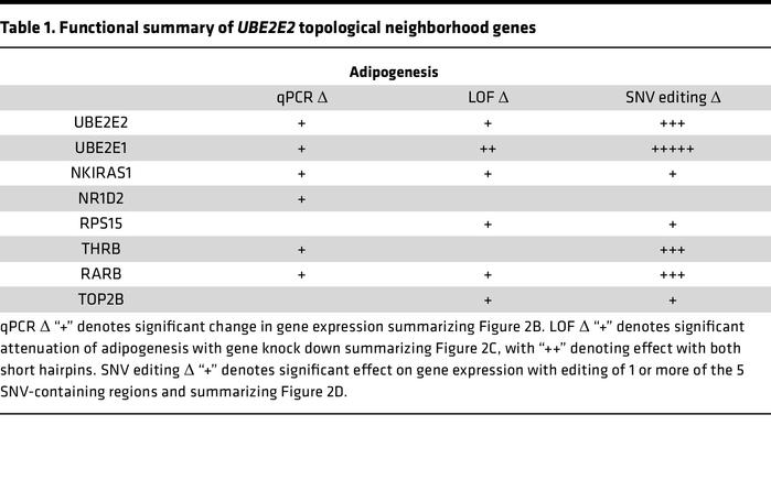 Functional summary of UBE2E2 topological neighborhood genes