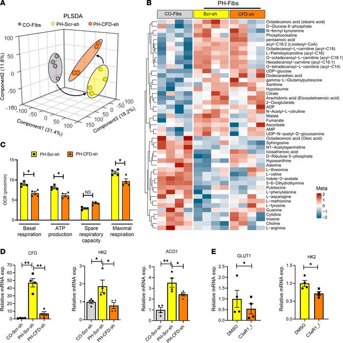 CFD knockdown reduced the altered metabolic reprogramming in bovine PH-F...