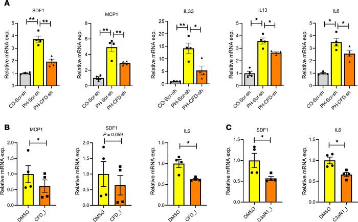 CFD knockdown decreased expression of proinflammatory genes in PH-Fibs.
...
