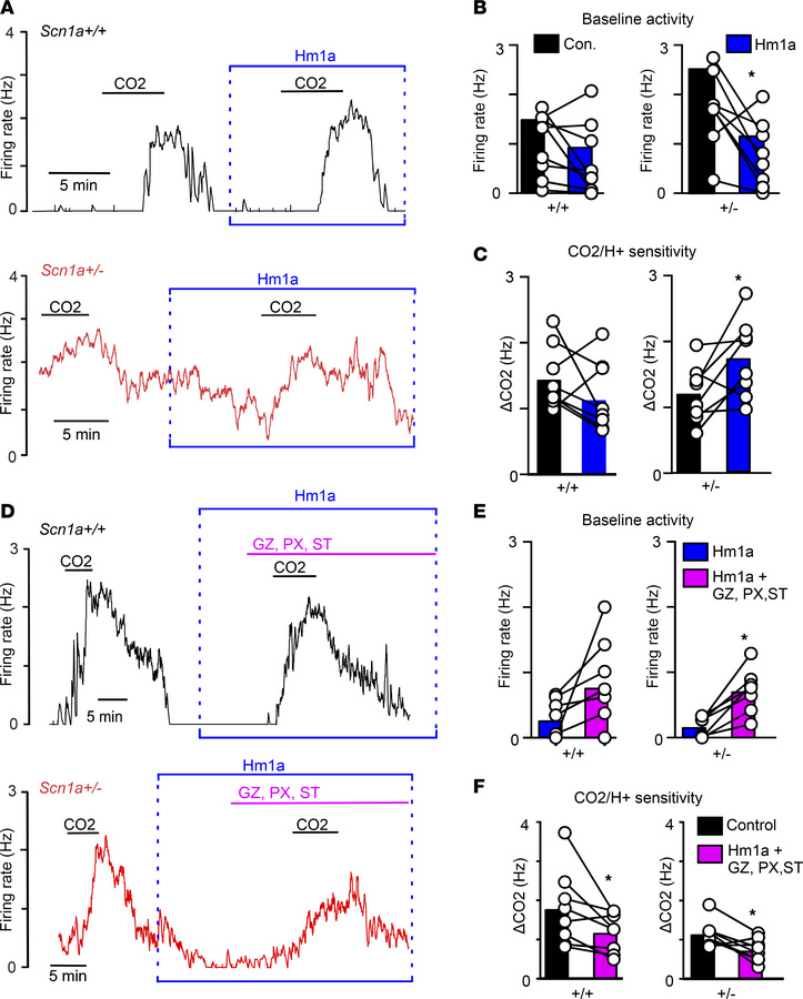 Hm1a normalizes baseline activity and increases hypercapnic sensitivity ...