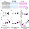 Three-week old Scn1a+/– mice that die prematurely show a pronounced central