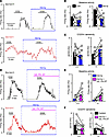 Hm1a normalizes baseline activity and increases hypercapnic sensitivity of