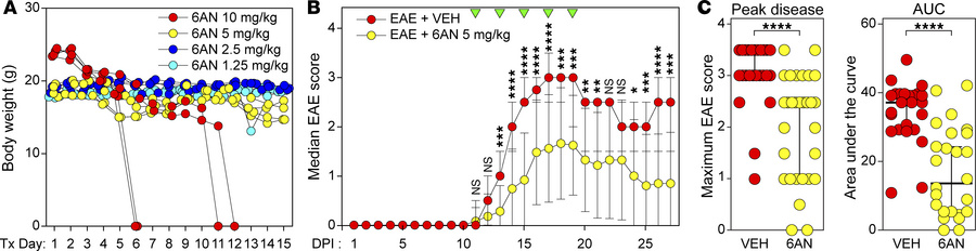 Systemic treatment with 6AN attenuates functional deficits in EAE.
(A) B...