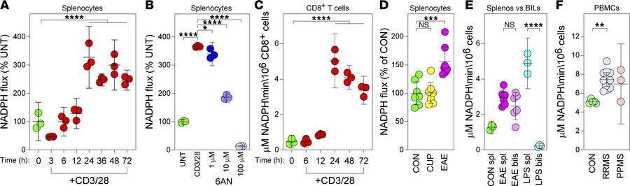 NADPH flux increases in activated T cells within the context of inflamma...