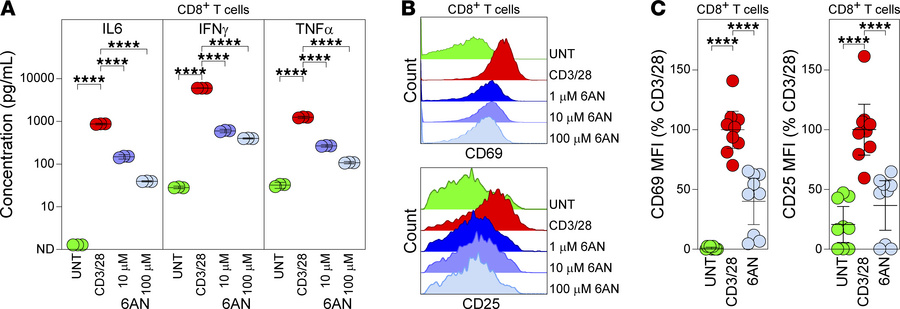 PPP inhibition suppresses effector functions in activated CD8+ T cells.
...