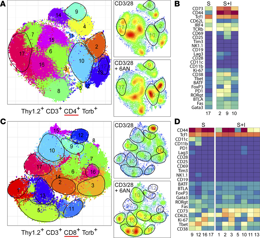 PPP inhibition prevents the acquisition of effector function in T cell s...