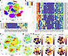 PPP inhibition prevents the acquisition of T cell effector function in vivo
