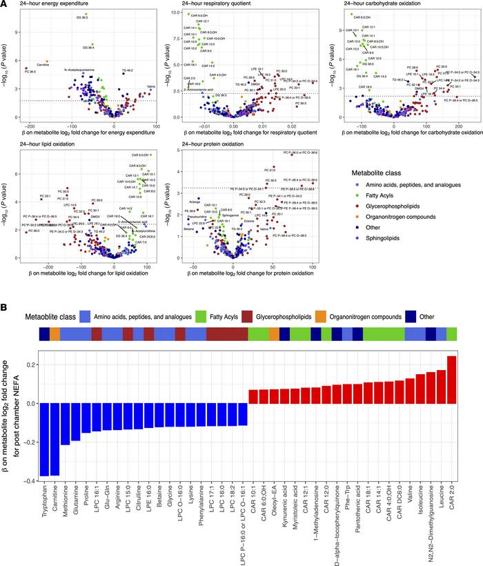 Coordinated metabolomic and physiologic responses to dietary perturbatio...