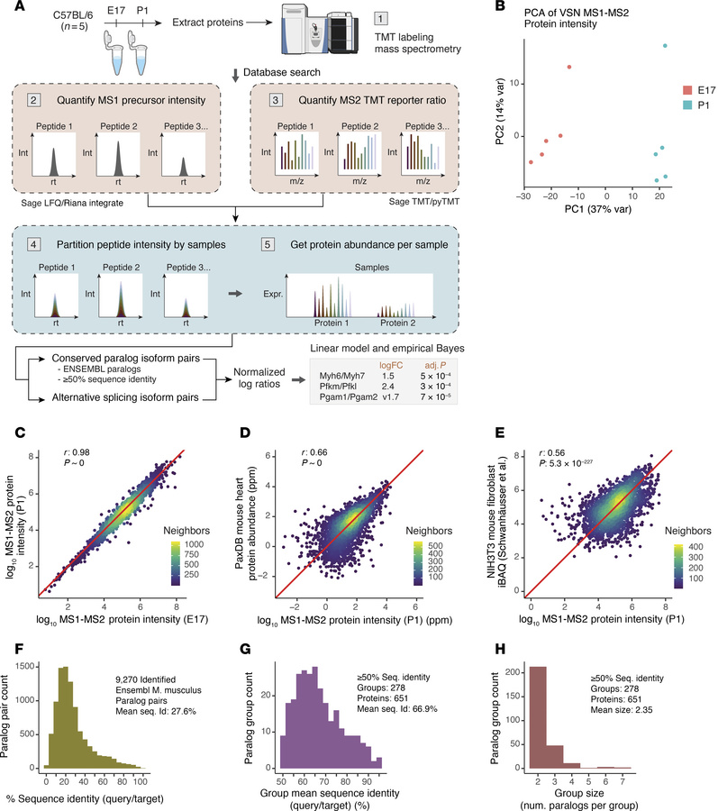 Experimental and analytical workflow of isoform usage tests.
(A) Workflo...