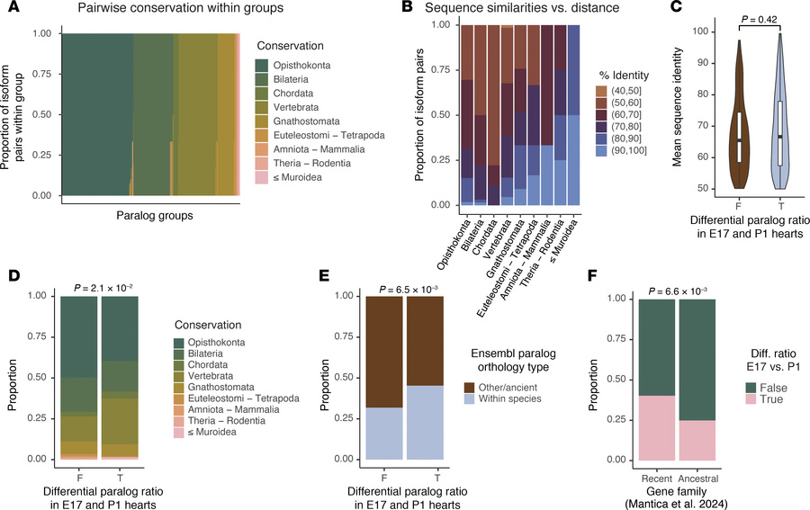 Evolutionary conservation of fetally regulated paralogs.
(A) Sorted prop...