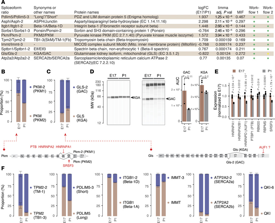 Alternative splicing–derived protein isoforms as a source of fetal genes...
