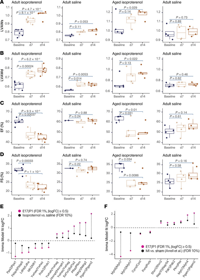 Partial return toward fetal isoform ratios in hypertrophic hearts.
(A) E...