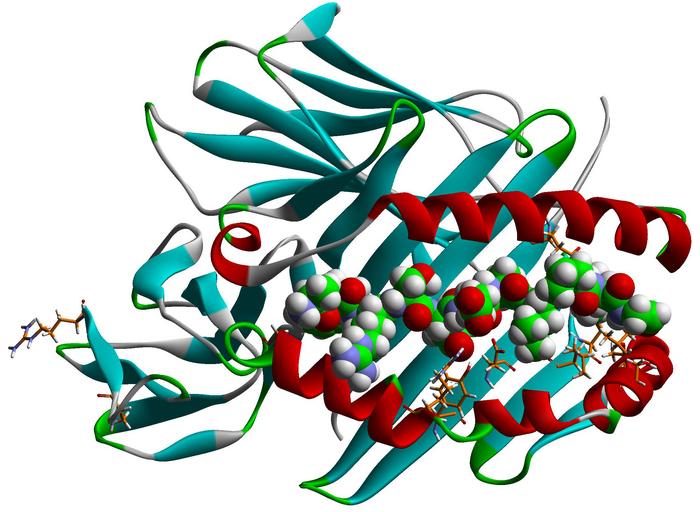 Tilted T Cell Receptor view of HLA-DRB3*01:01 in complex with the platel...