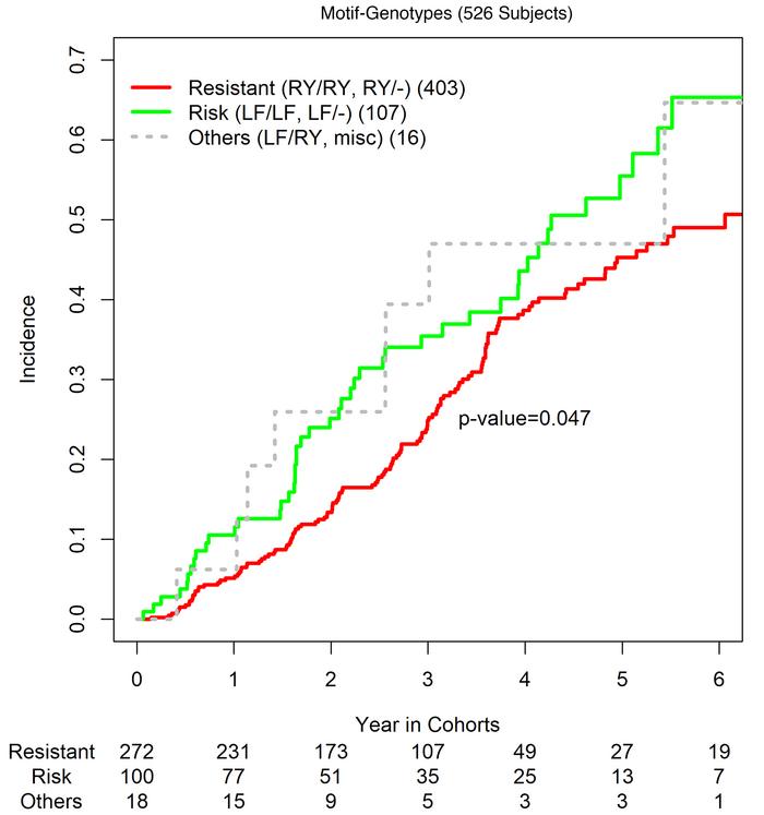 Incidence curves by motif-genotype groups.
Slower progressors (Resistant...