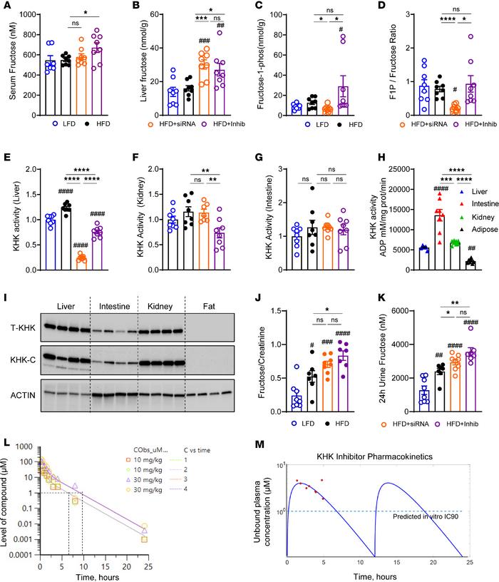 Small molecule inhibitor decreases KHK enzymatic activity in liver and k...