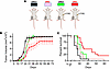 MC38 tumor growth and mouse survival in a syngeneic colon tumor model using