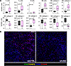 Determination of the influence of UNG depletion on the MC38 tumor microenvi