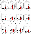 qPCR analyses of inflammatory and proangiogenic factors in P10 retinas.