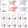 APB5 and minocycline exert global changes in retinal transcriptome of 4-wee