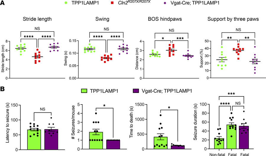 Interneuron-specific TPP1 deficiency increases susceptibility to sudden ...