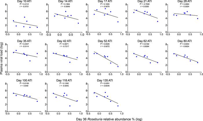 The relative abundance of Roseburia at acute infection is predictive of ...
