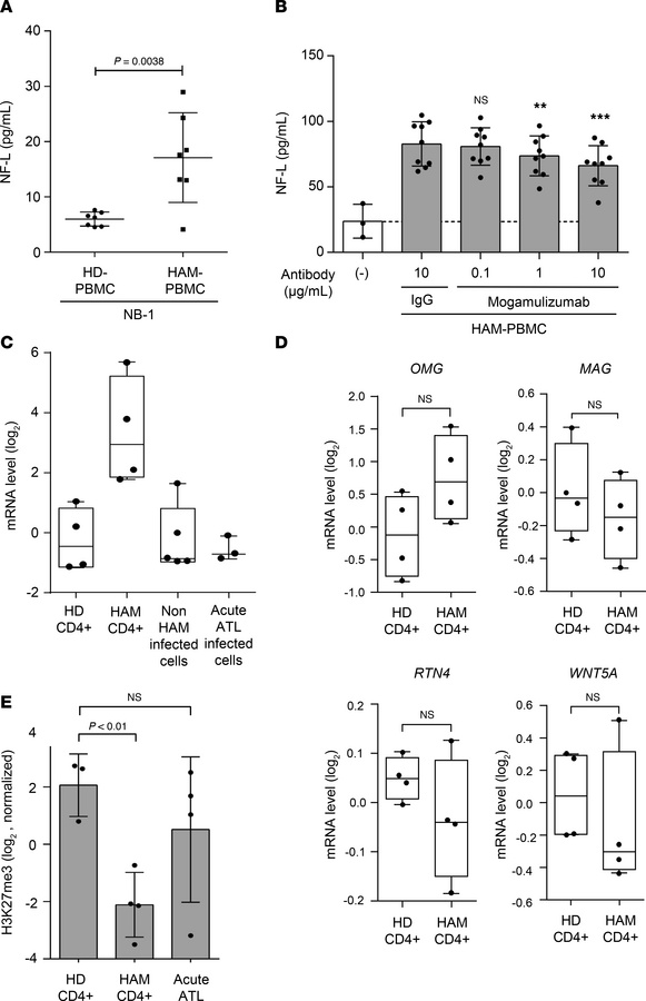 Neuropathic effects of HAM-PBMCs.
(A) The concentration of NF-L (pg/mL) ...