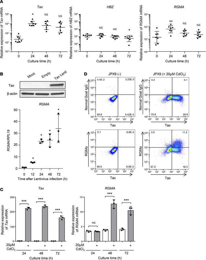 
RGMA gene induction is HTLV-1 Tax dependent.
(A) Tax (left), HBZ (middl...