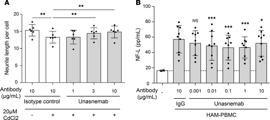 Neuronal cell damage mediated by RGMa.
(A) Neurite length of cocultured ...