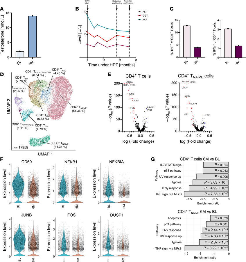 Gender-affirming hormone therapy improves autoimmune liver disease in a ...
