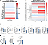 Shift toward antiinflammatory immune cell subsets in trans men receiving GA
