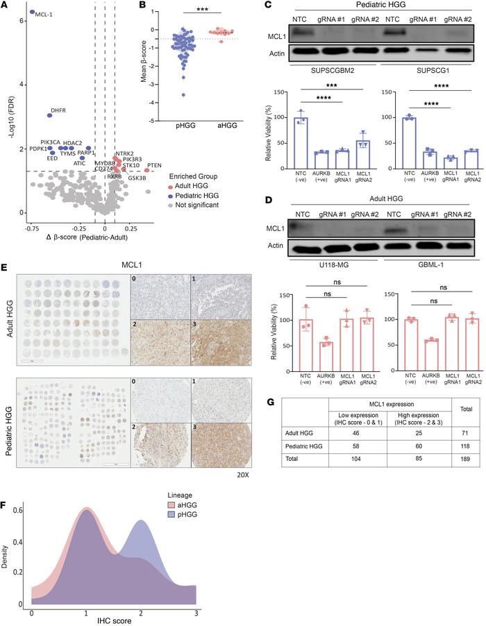 CRISPR/Cas9 screens identify MCL1 as a key genetic vulnerability in pHGG...