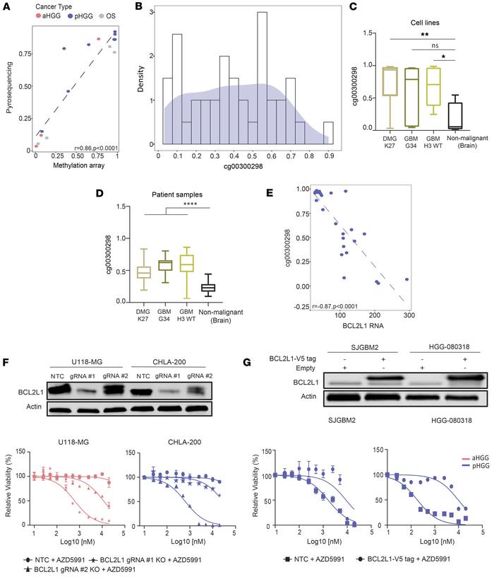 
BCL2L1 is hypermethylated in pediatric CNS tumors.
(A) Scatterplot show...