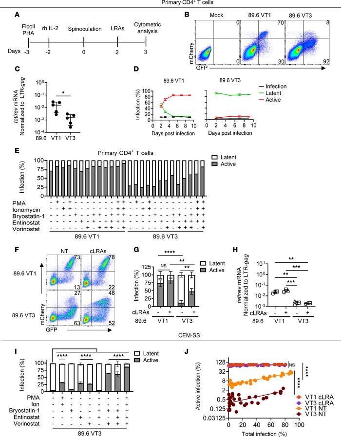 Lower levels of HIV tat increase the probability of noninduced provirus ...