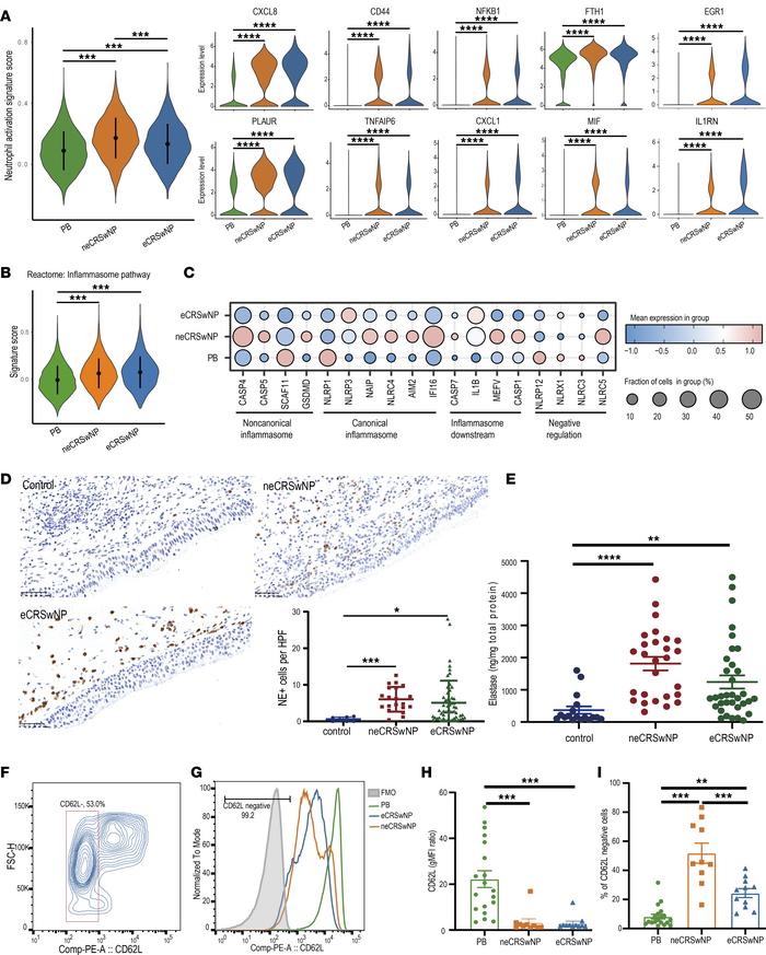 Neutrophils are activated in both eCRSwNP and neCRSwNP.
(A) Violin plots...