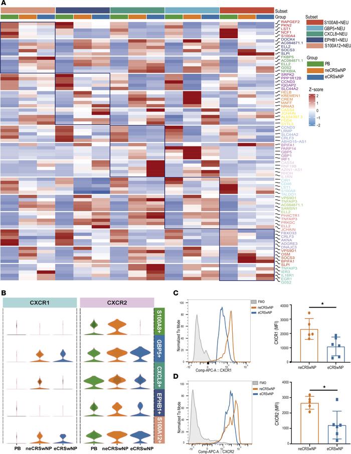 The transcriptional modulation of different neutrophil subsets in eCRSwN...