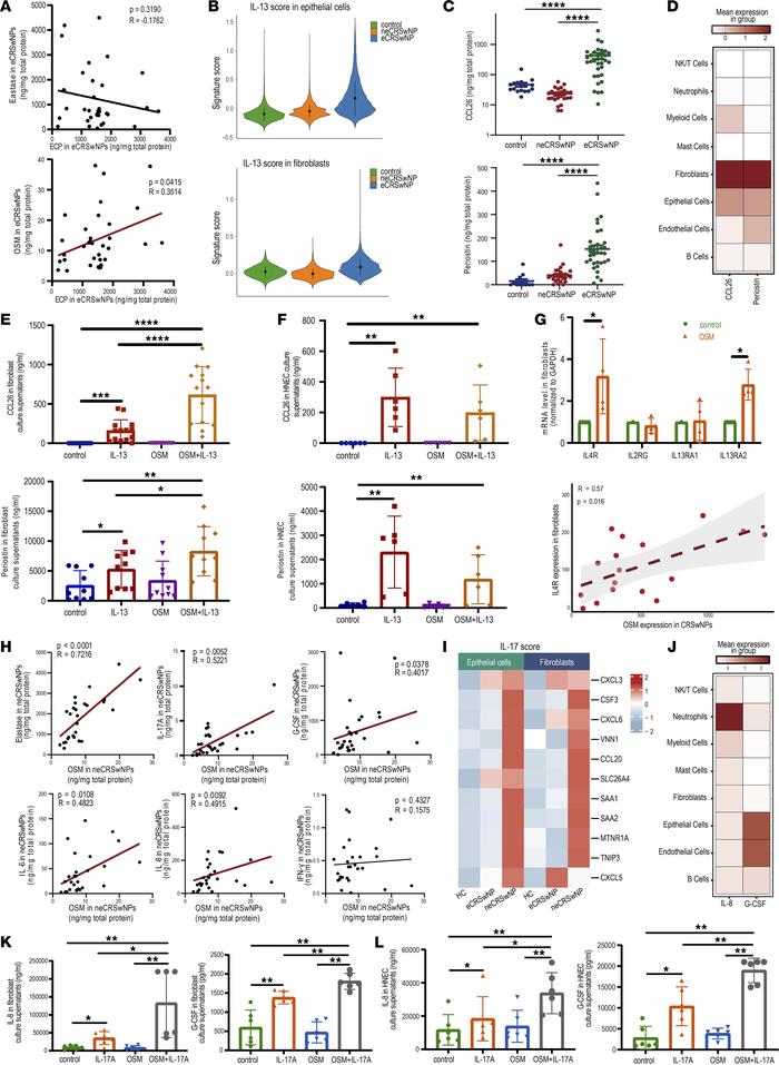 OSM modulates pathogenic pathways in epithelial cells and fibroblasts de...