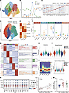 Neutrophils in nasal polyps consist of distinct transcriptional subsets.