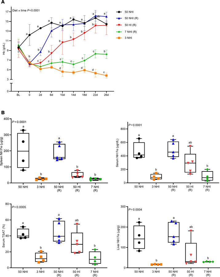 Rat pilot study 2: An HI diet was effective at correcting the anemia in ...