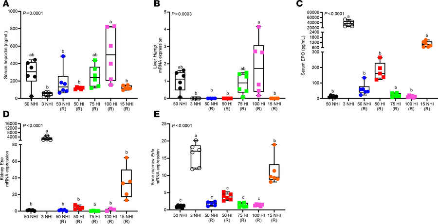 A 75-ppm HI diet was effective at normalizing serum hepcidin and EPO lev...