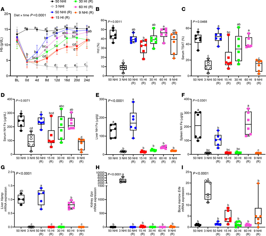 A 60-ppm HI diet was effective at correcting the IDA in iron-depleted C5...